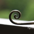 IMG_1136090