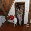 IMG_1136133