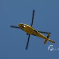 IMG_1137761
