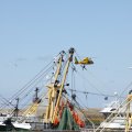 IMG_1137800