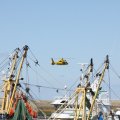 IMG_1137801