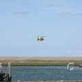 IMG_1137808