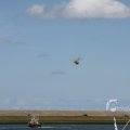 IMG_1137811