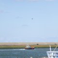 IMG_1137816