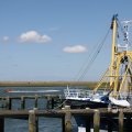 IMG_1137820