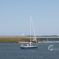 IMG_1137953