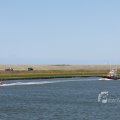 IMG_1137963