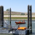 IMG_1137991