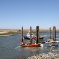 IMG_1138028