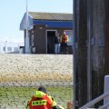 IMG_1138118