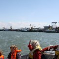 IMG_1138131