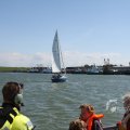 IMG_1138132