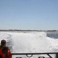 IMG_1138205