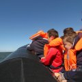 IMG_1138207