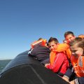 IMG_1138209