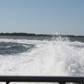 IMG_1138220