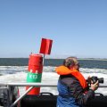 IMG_1138246