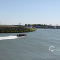 IMG_1138546