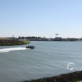 IMG_1138550
