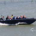 IMG_1138587