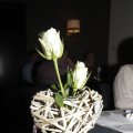 IMG_1141474