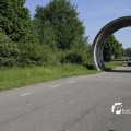 IMG_1143651