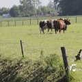 IMG_1143865