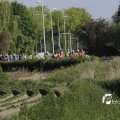 IMG_1144037