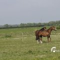 IMG_1144038