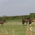 IMG_1144040