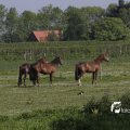IMG_1144041