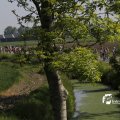 IMG_1144274