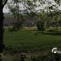 IMG_1144280