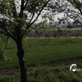 IMG_1144281