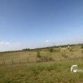 IMG_1144388