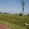 IMG_1144390