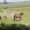 IMG_1144601