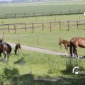 IMG_1144603