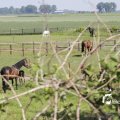 IMG_1144604