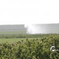 IMG_1144607