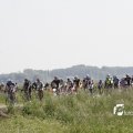 IMG_1144626