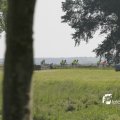 IMG_1144653