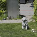IMG_1145722