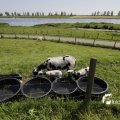 IMG_1146047