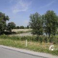 IMG_1146161