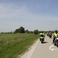 IMG_1146168