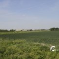 IMG_1146180