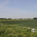 IMG_1146182