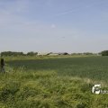 IMG_1146183