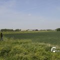 IMG_1146184